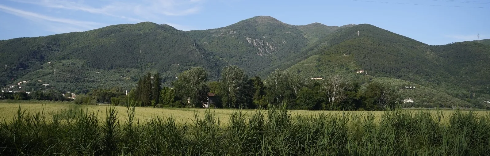Monti Pisani
